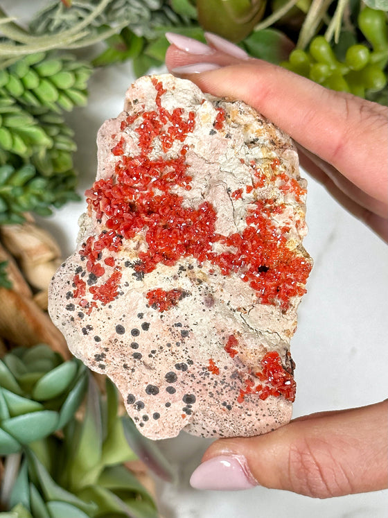 Vanadinite Specimen - #1