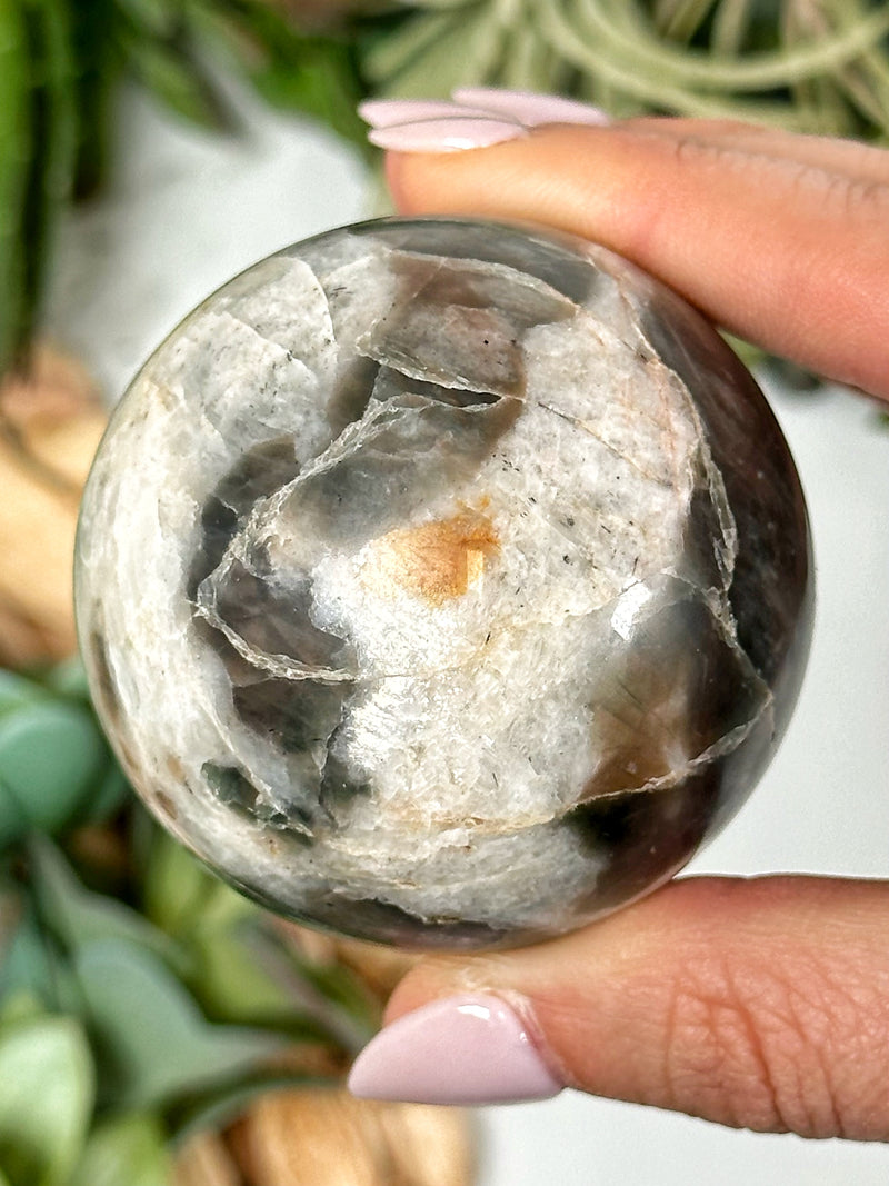 Flashy Polarity Moonstone Sphere - #3