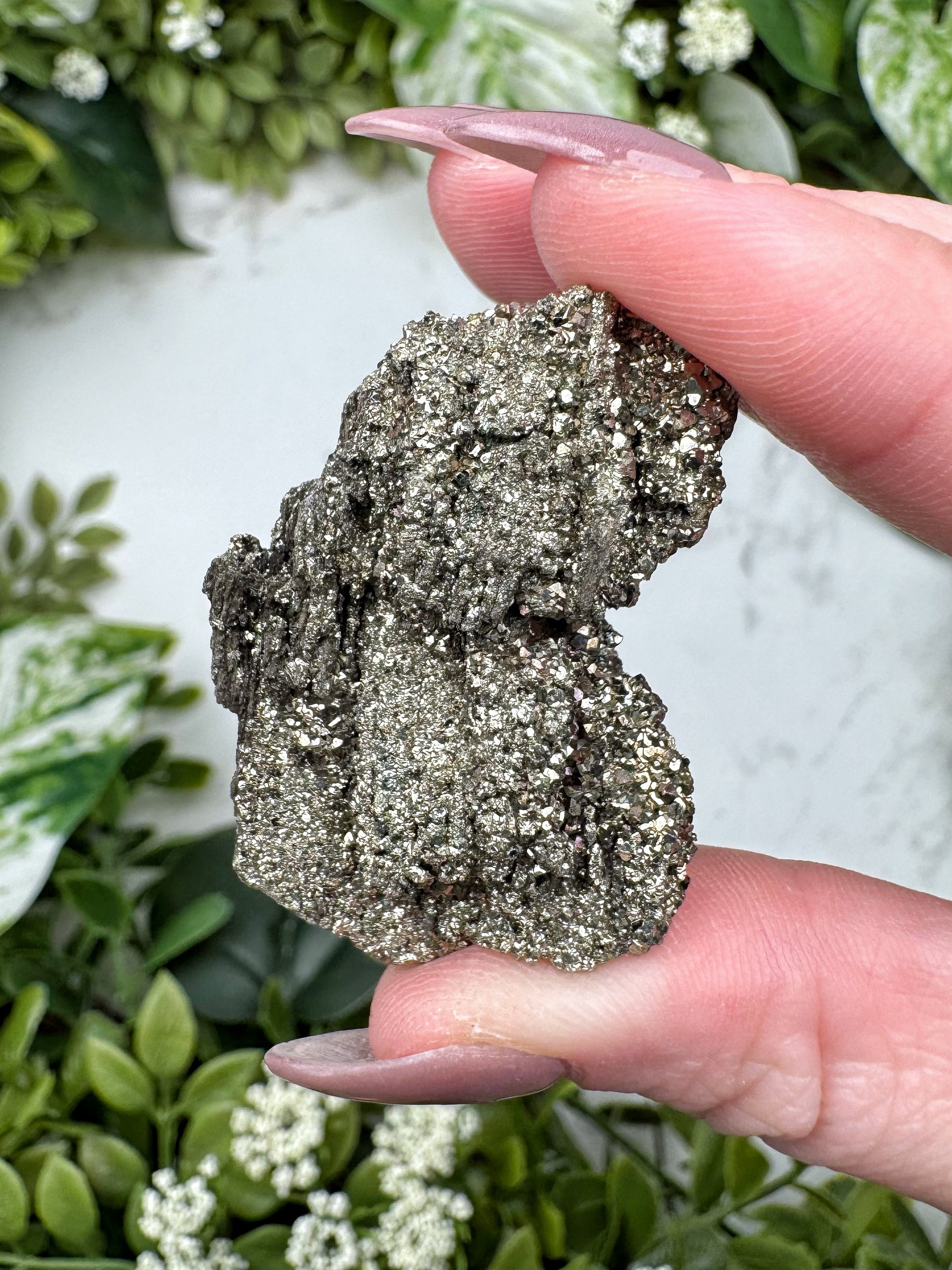 Raw Pyrite on Petrified Wood - #12