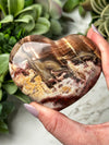 Petrified Wood Heart - #12