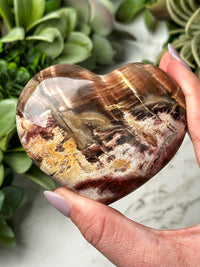 Petrified Wood Heart - #12