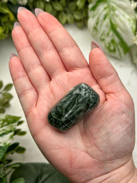 Seraphinite Palmstone - #2