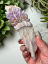 Crazy Lace Agate Amethyst Feather - #12