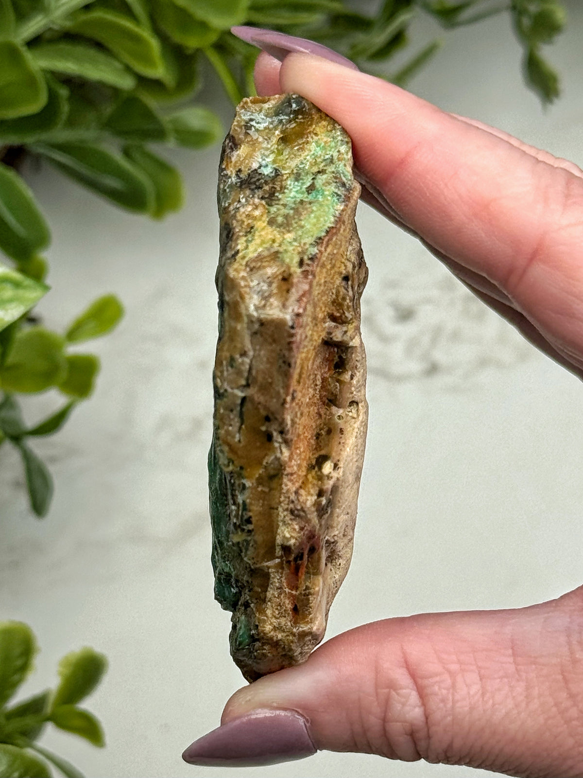 Raw Blue Opalized Petrified Wood - #13