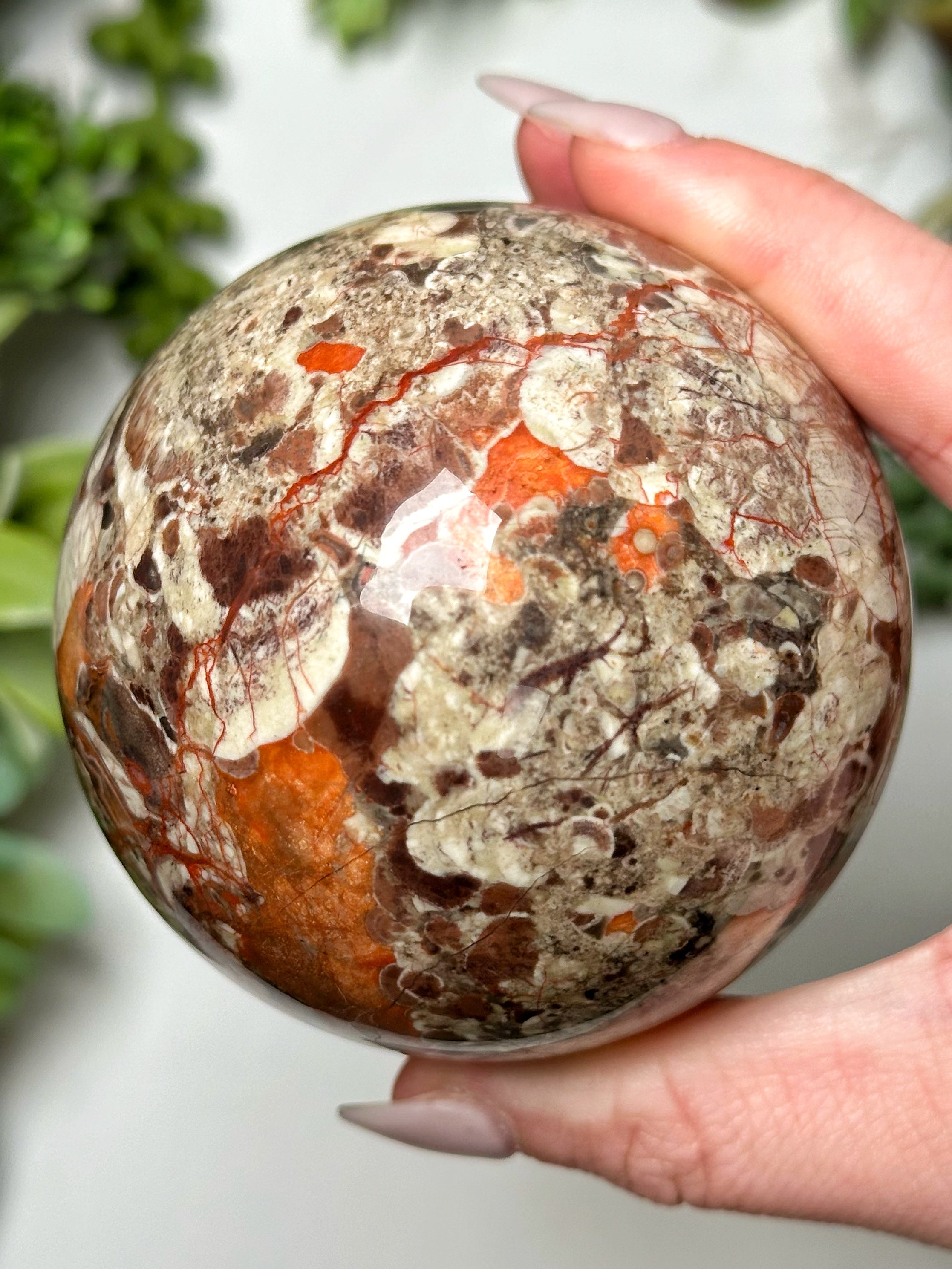 Money Agate Sphere - #6