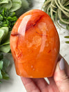 Carnelian Freeform - #19