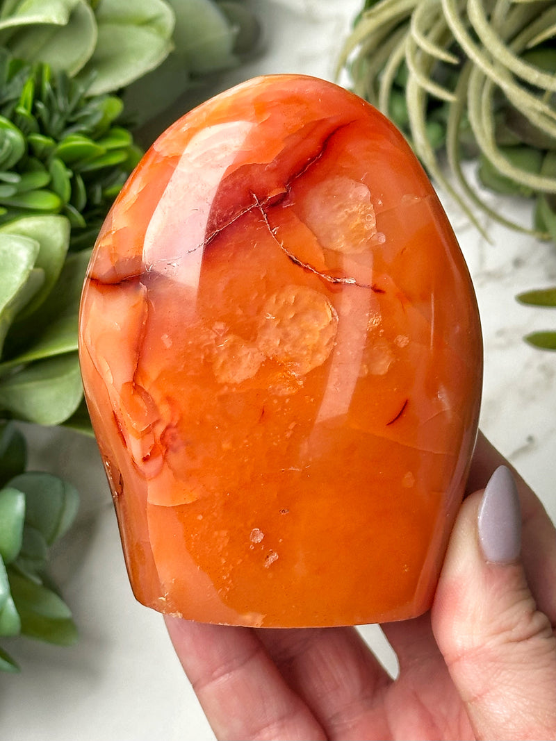 Carnelian Freeform - #19