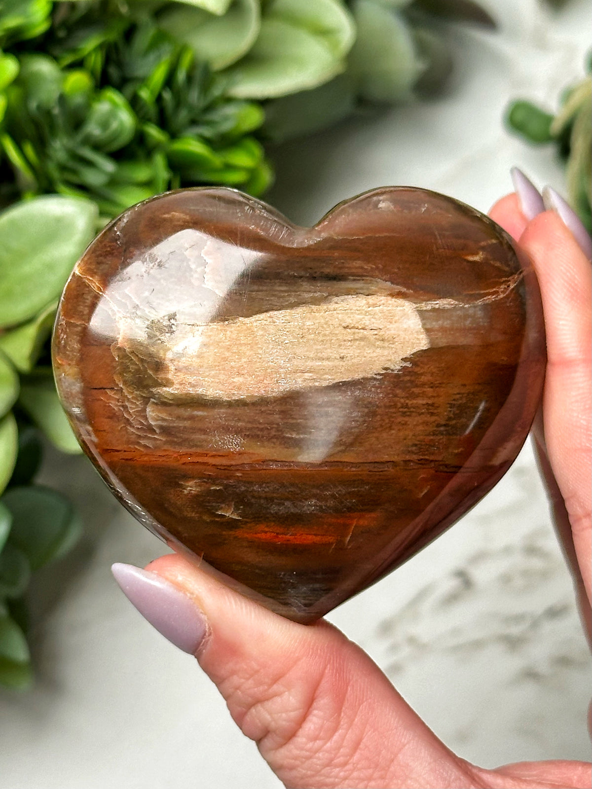 Petrified Wood Heart - #16