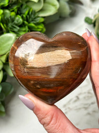 Petrified Wood Heart - #16