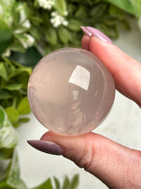 Star Rose Quartz Sphere - #11