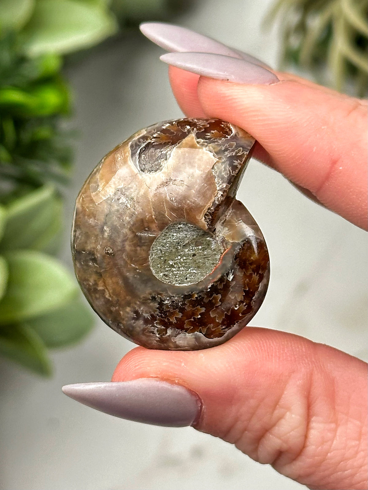 Moldavite Ammonite Inlay - #3