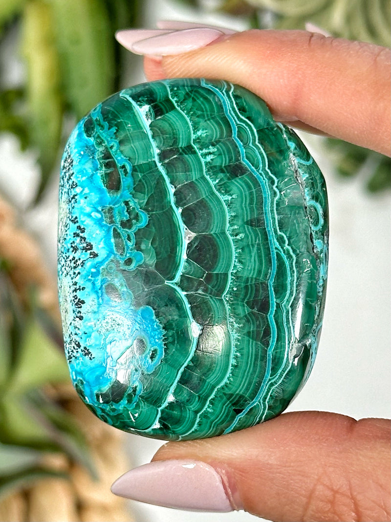 Chrysocolla Malachite Palmstone - #3