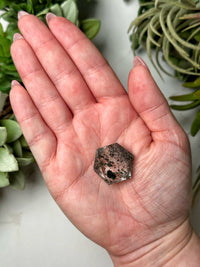 Garden Quartz Hexagon - #11