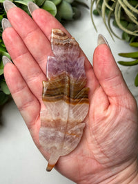 Crazy Lace Agate Amethyst Feather - #11