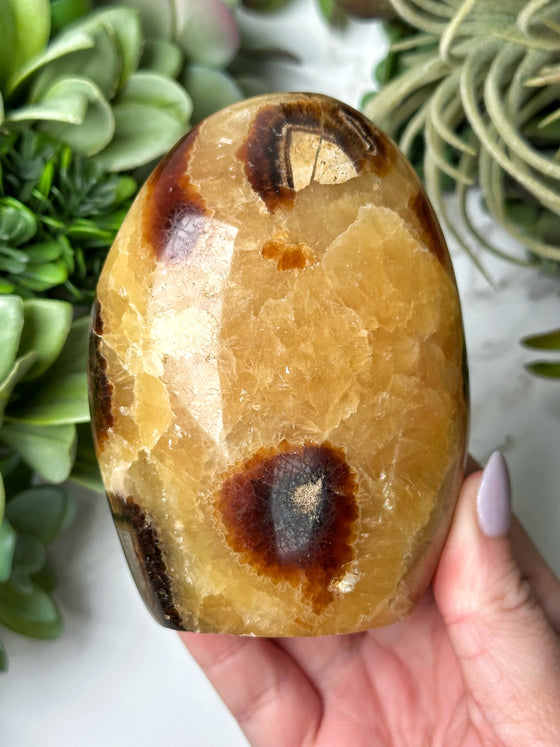 Septarian Freeform - #18