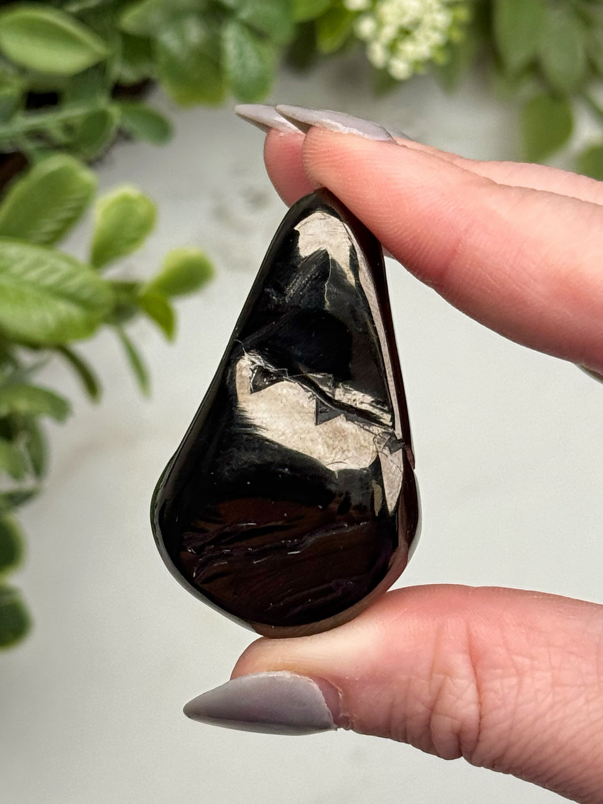 Elite Shungite Palmstone - #12