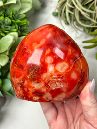 Carnelian Freeform - #15