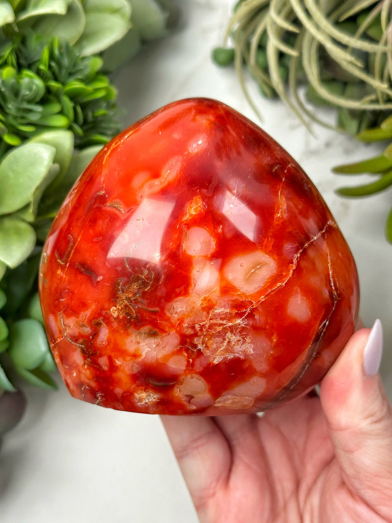 Carnelian Freeform - #15