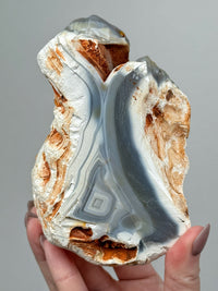 Orca Agate Snake - #1