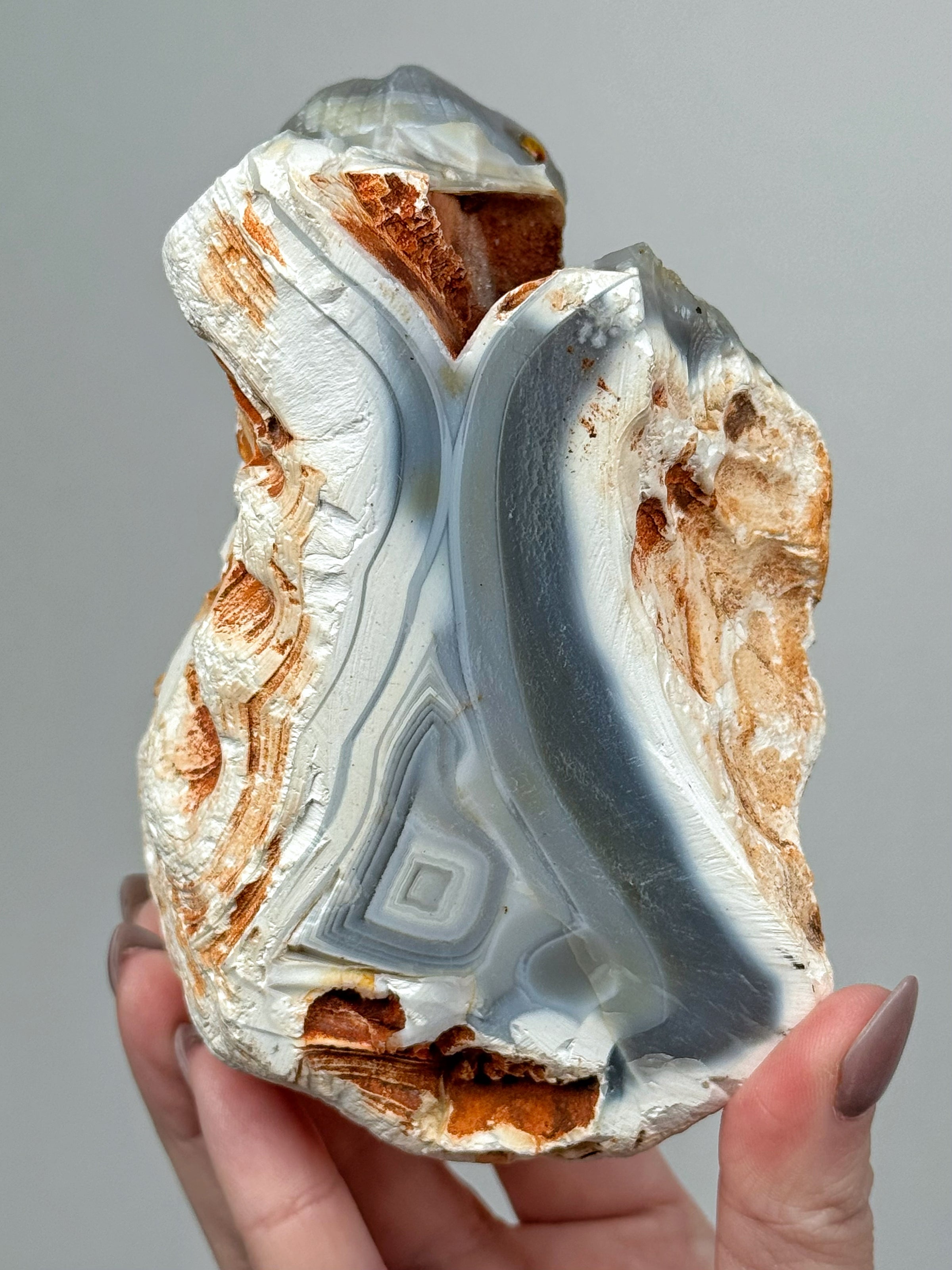 Orca Agate Snake - #1