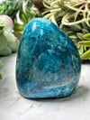 Blue Apatite Freeform - #11
