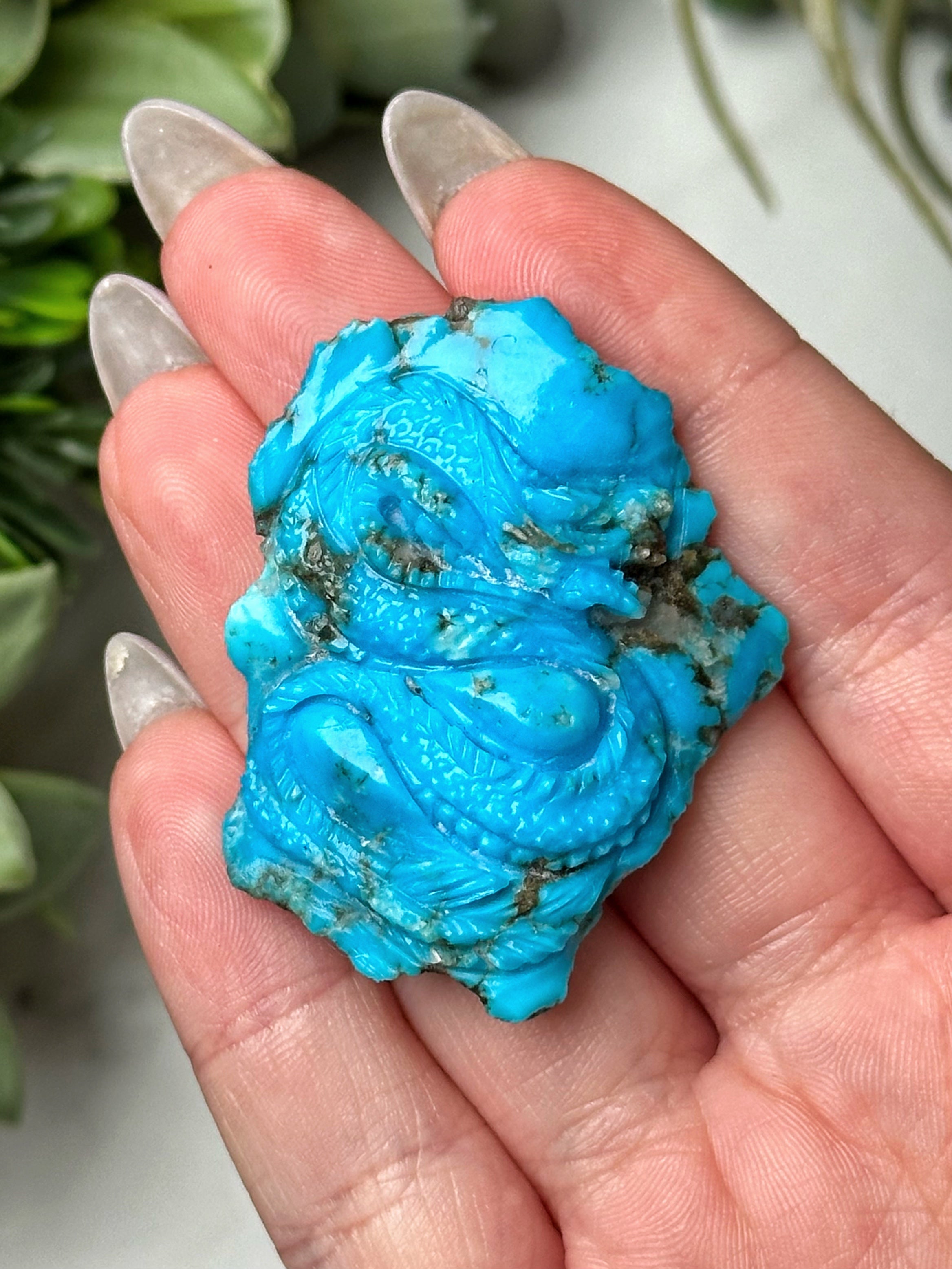 Turquoise Dragon - #1