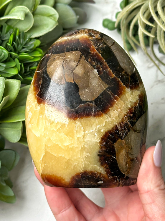 Septarian Freeform - #15