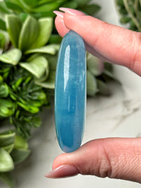 Aquamarine Palmstone - #6