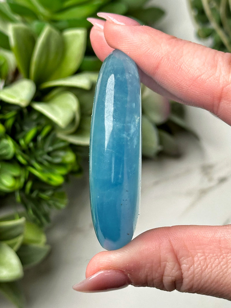 Aquamarine Palmstone - #6