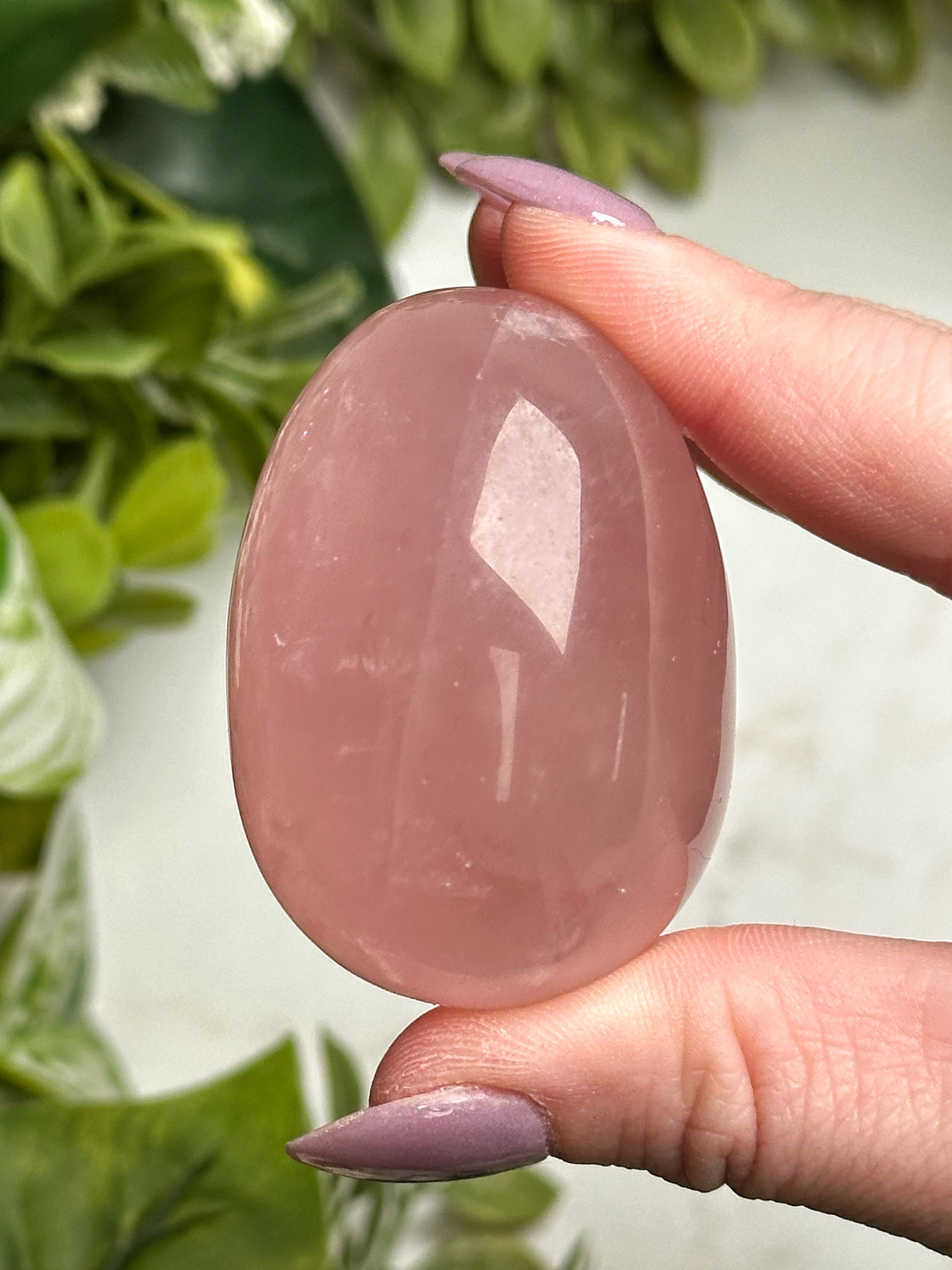 Star Rose Quartz Egg - #4