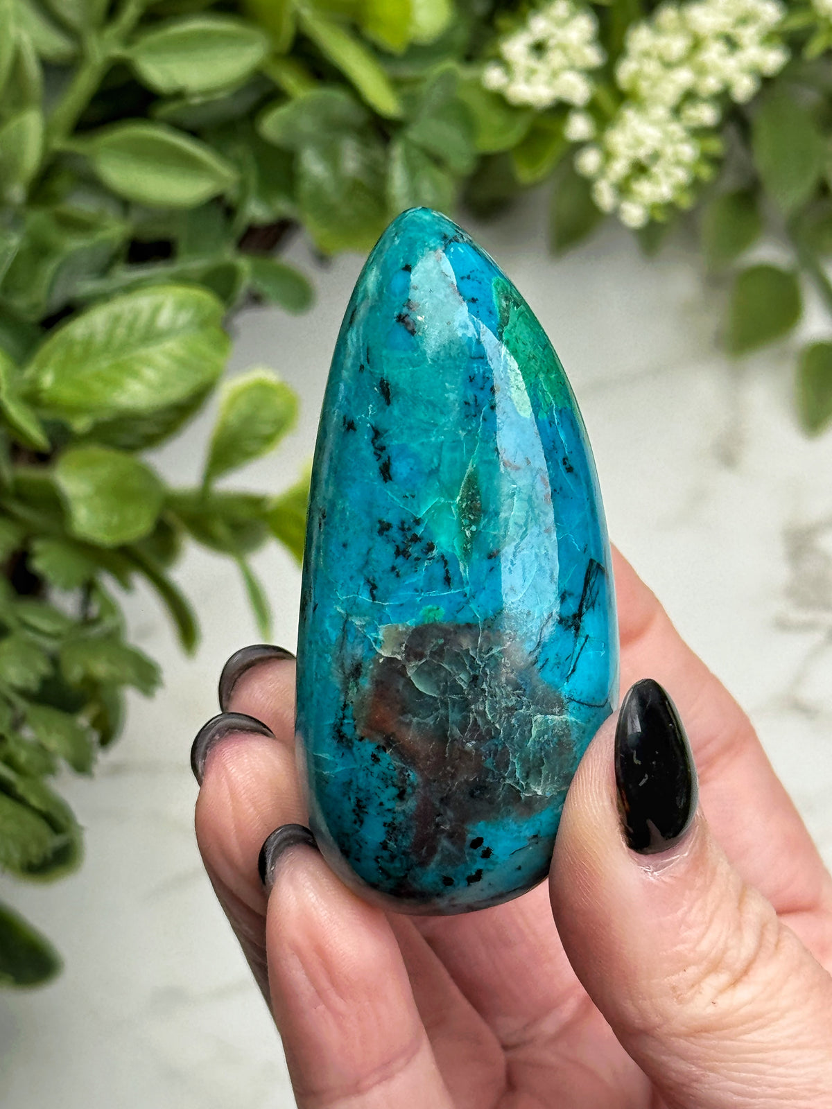 Chrysocolla Freeform - #22