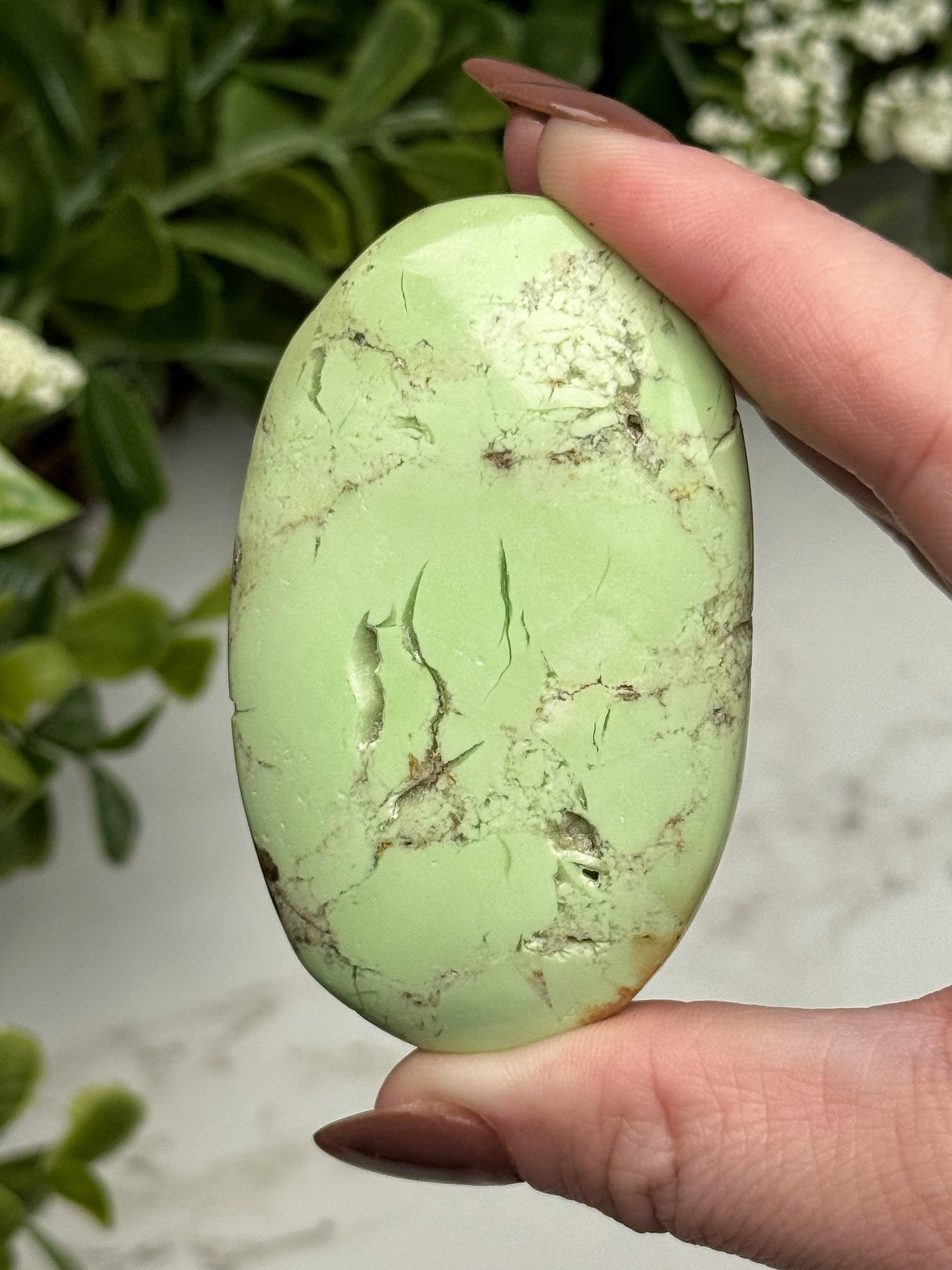 Chrysoprase Palmstone - #2
