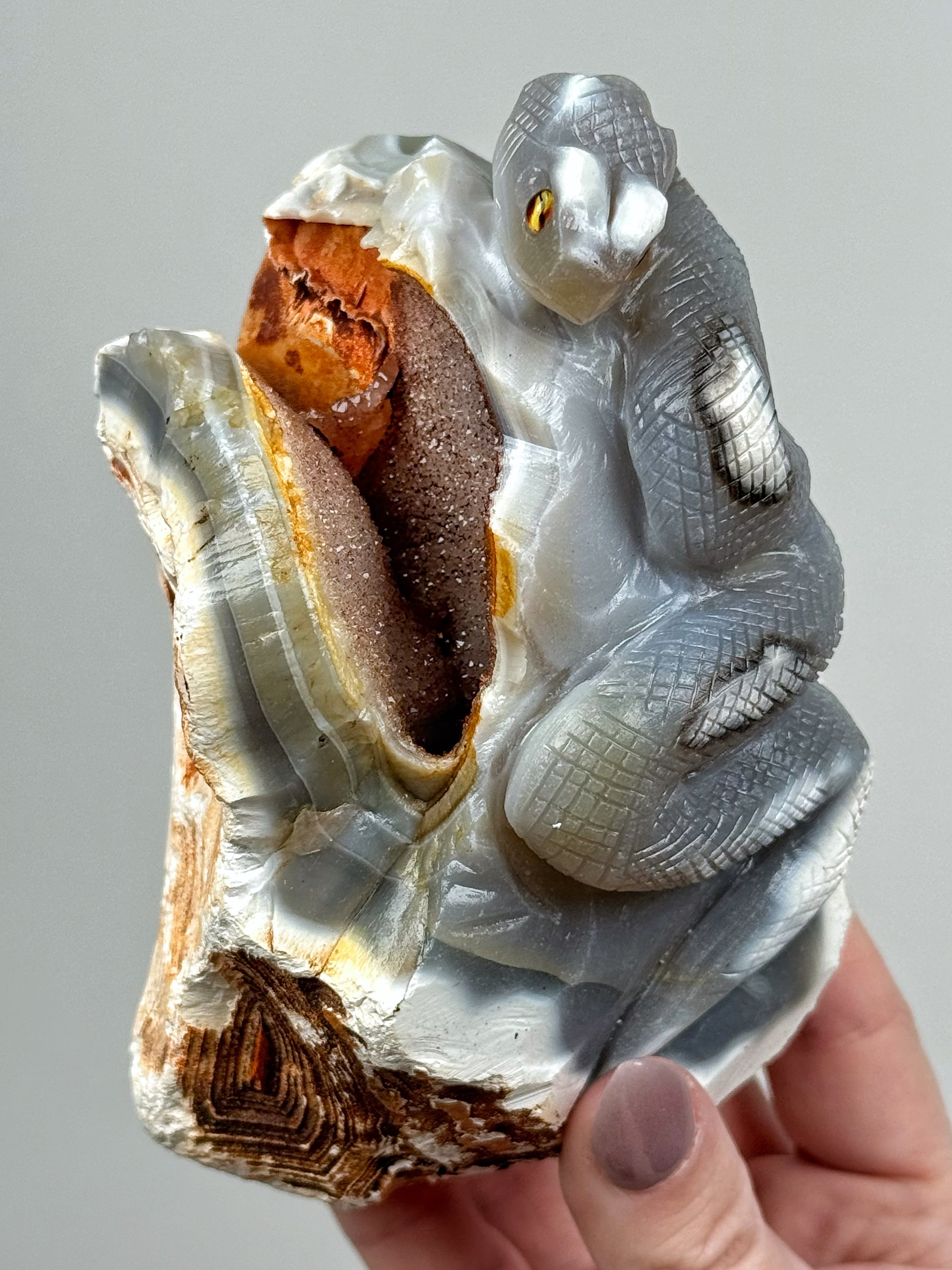 Orca Agate Snake - #1