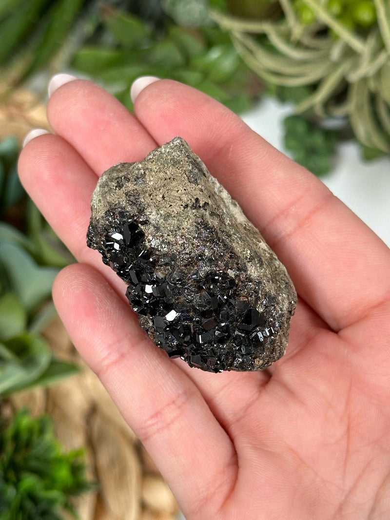 Raw Black Garnet - #2