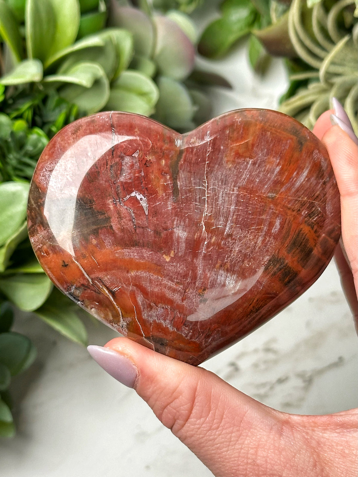 Petrified Wood Heart - #13