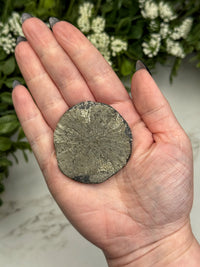 Pyrite Sun - #14