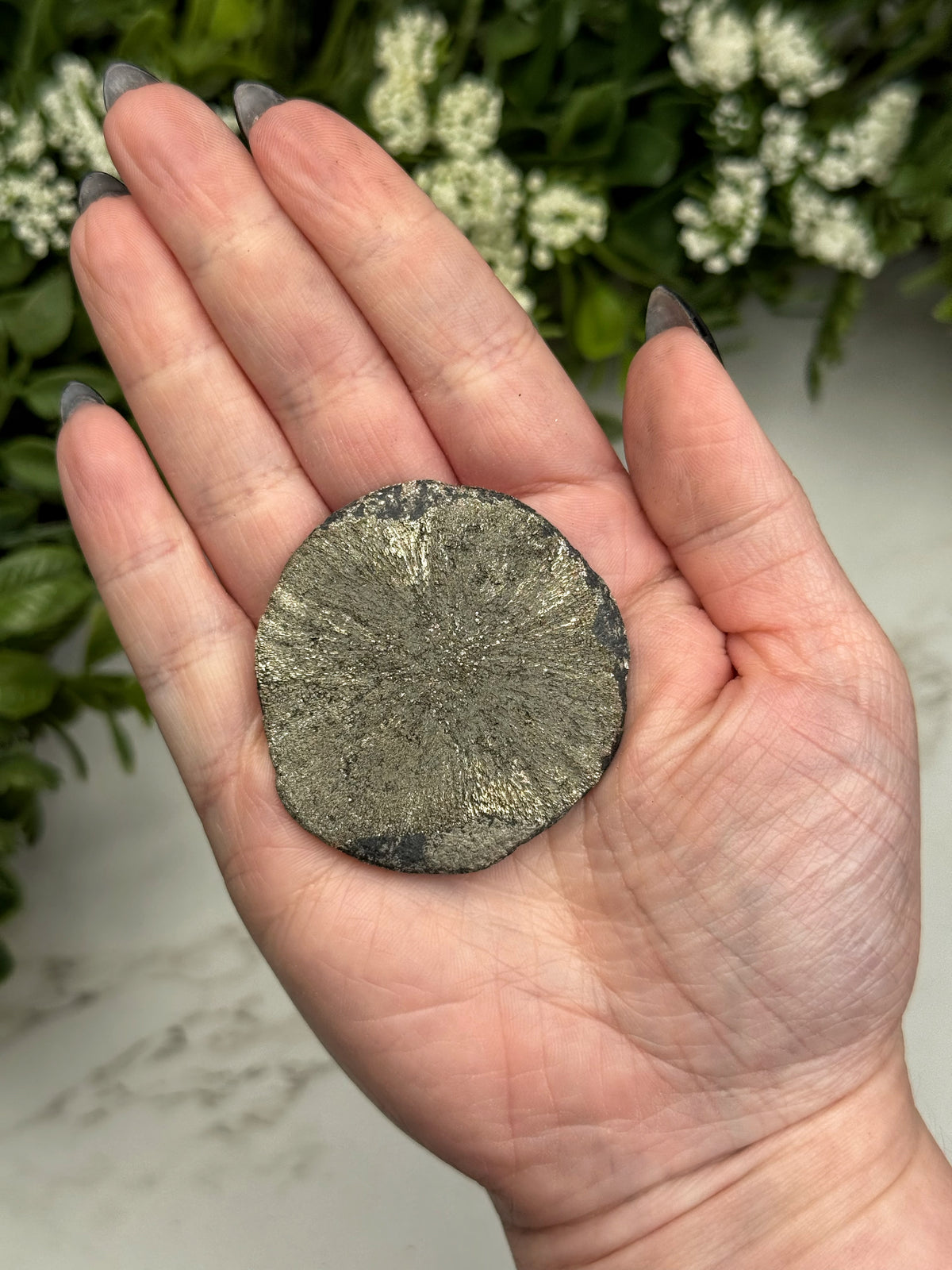 Pyrite Sun - #14