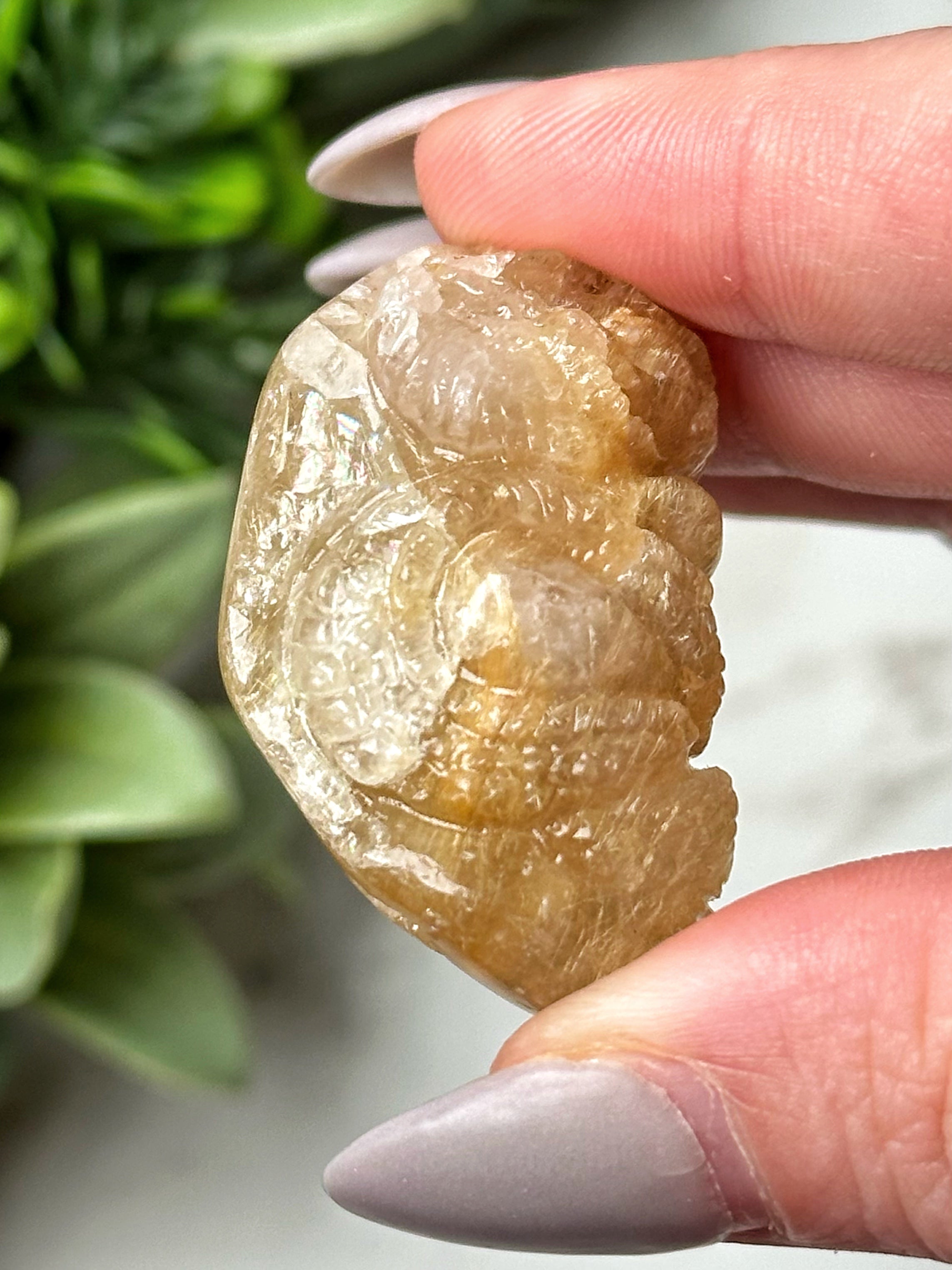 Golden Rutilated Quartz Dragon - #2