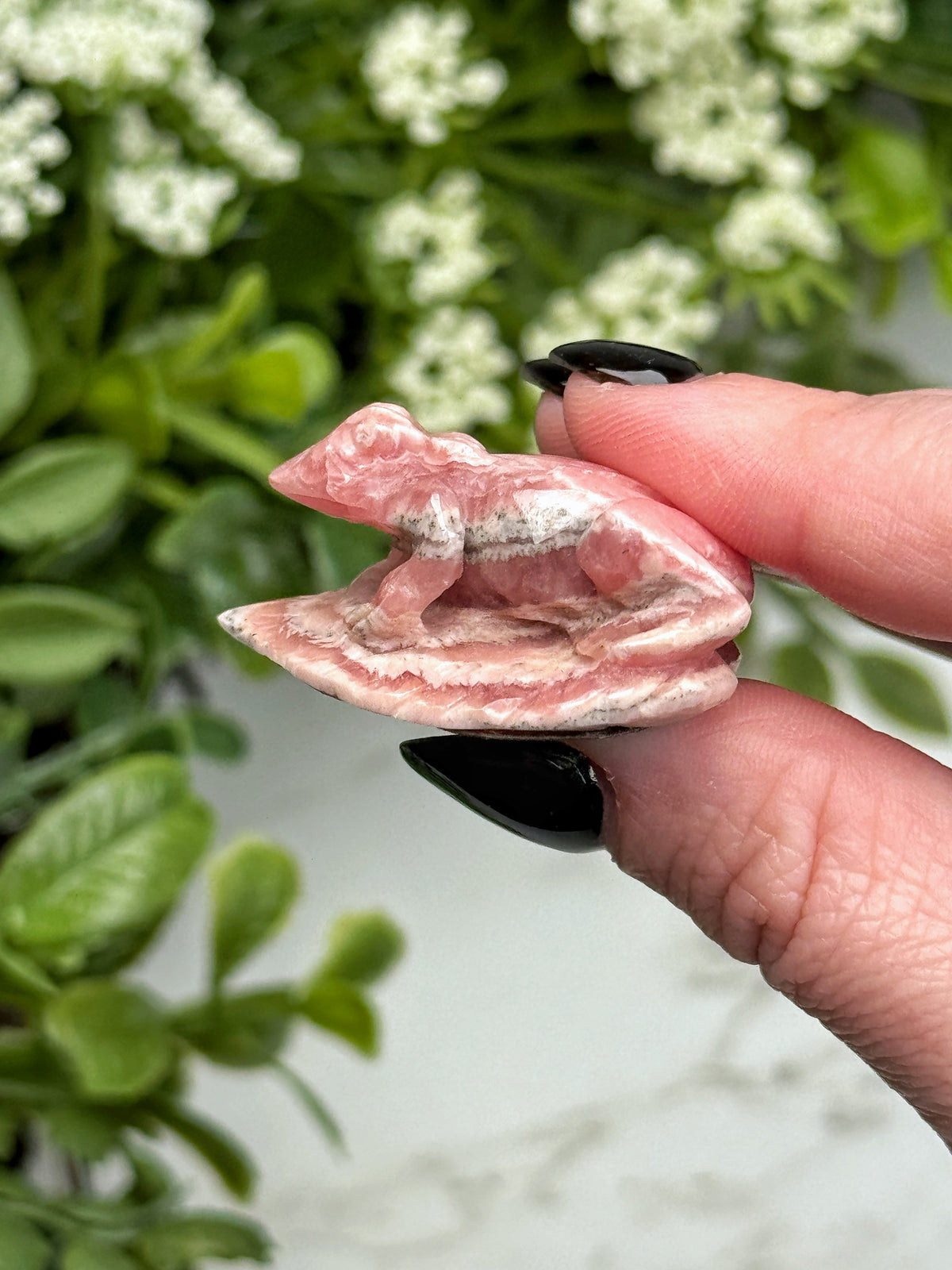 Rhodochrosite Frog - #4