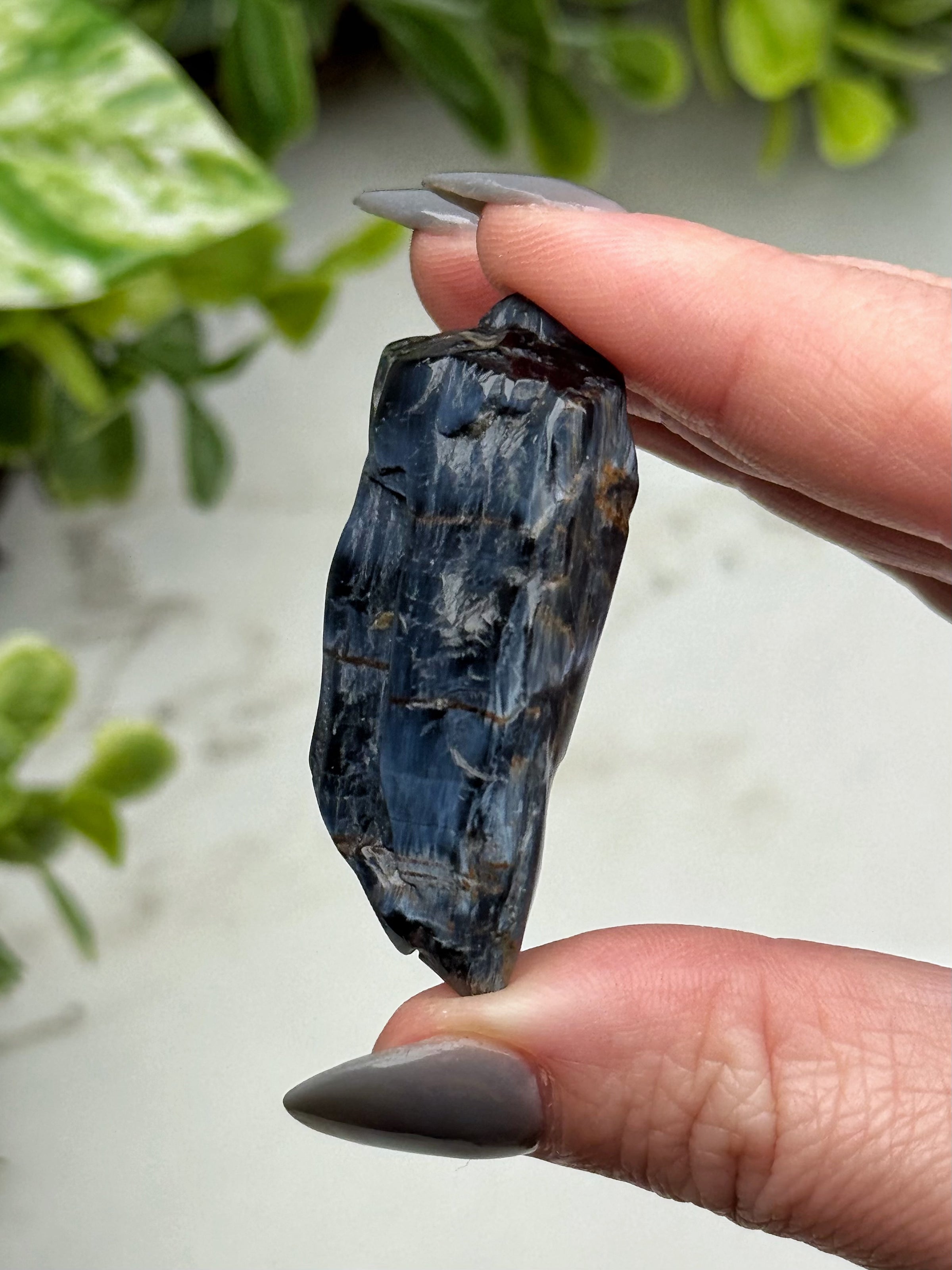 Pietersite Mini Freeform - #16