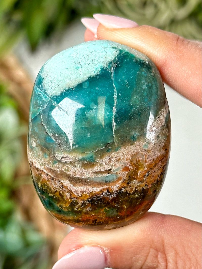 Blue Opalized Petrified Wood Palmstone - #3