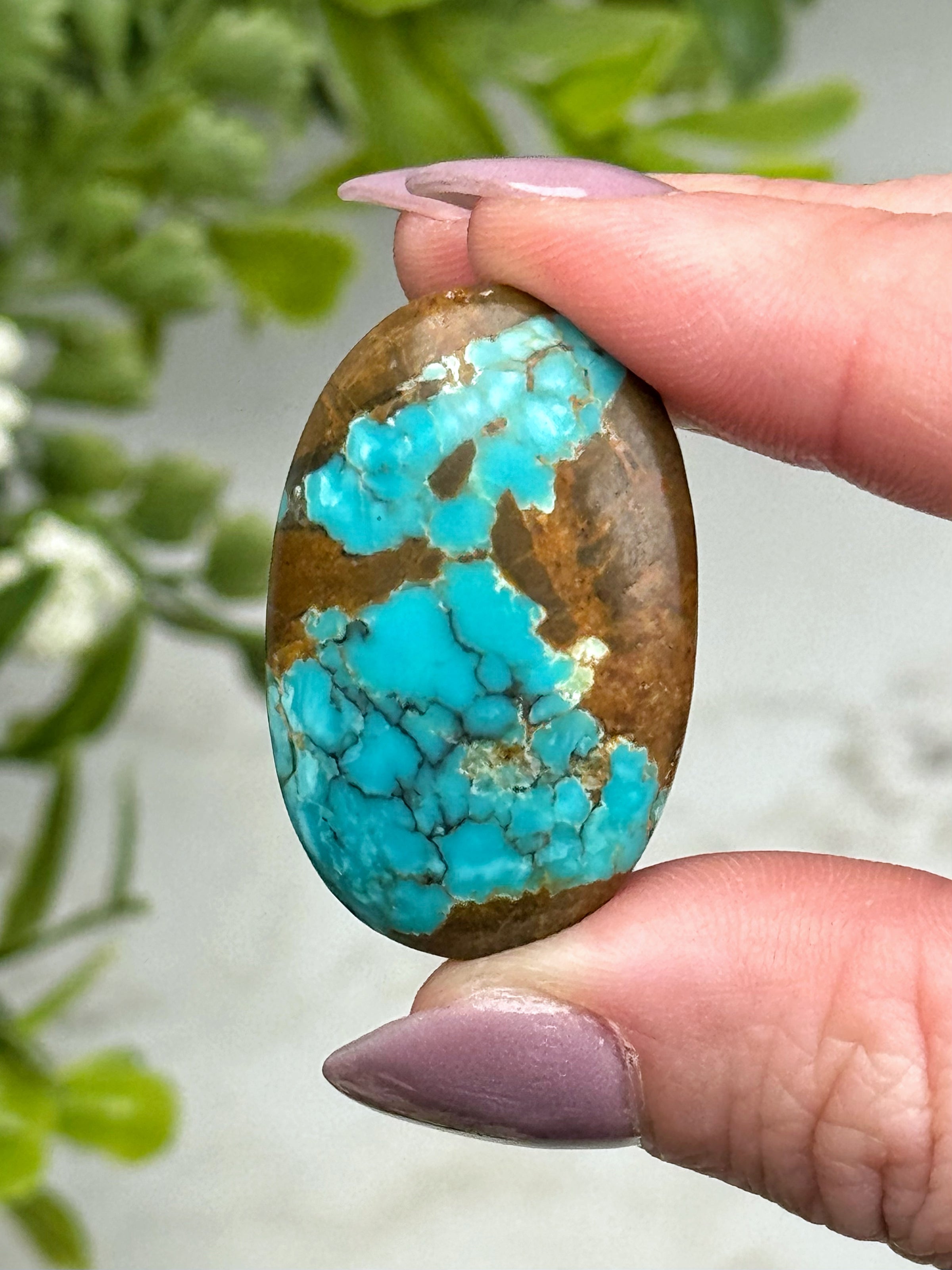 Turquoise Palmstone - #13