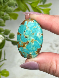 Turquoise Palmstone - #15