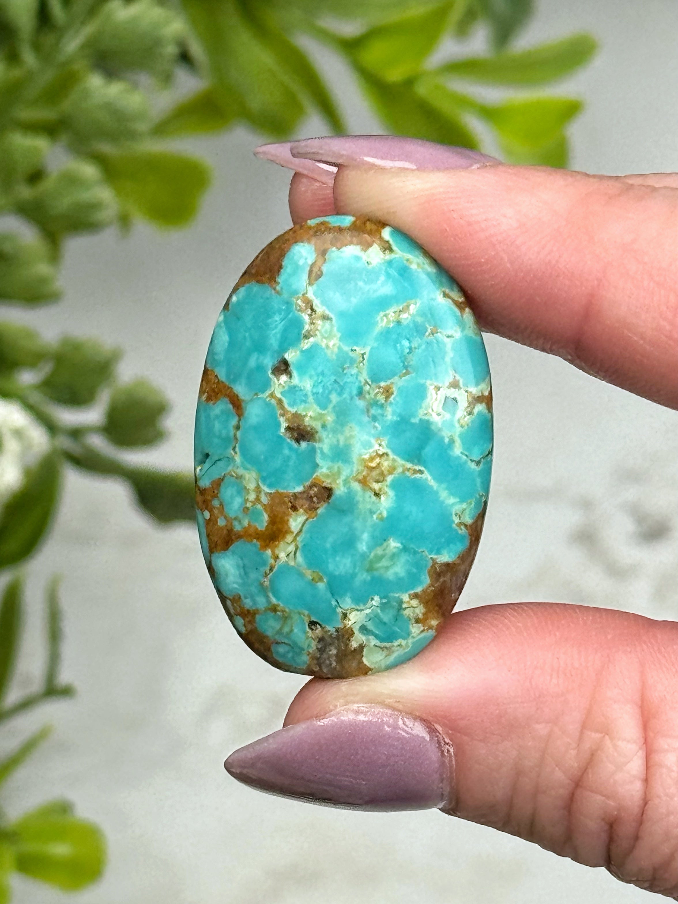 Turquoise Palmstone - #15