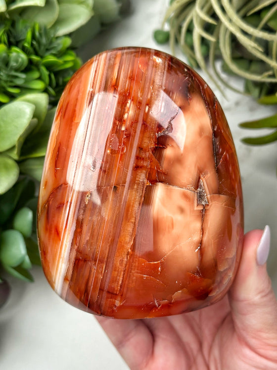 Carnelian Freeform - #13
