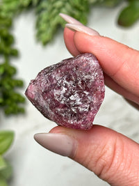 Raw Pink Tourmaline - #4