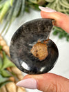 Phosphosiderite Ammonite Inlay - #1