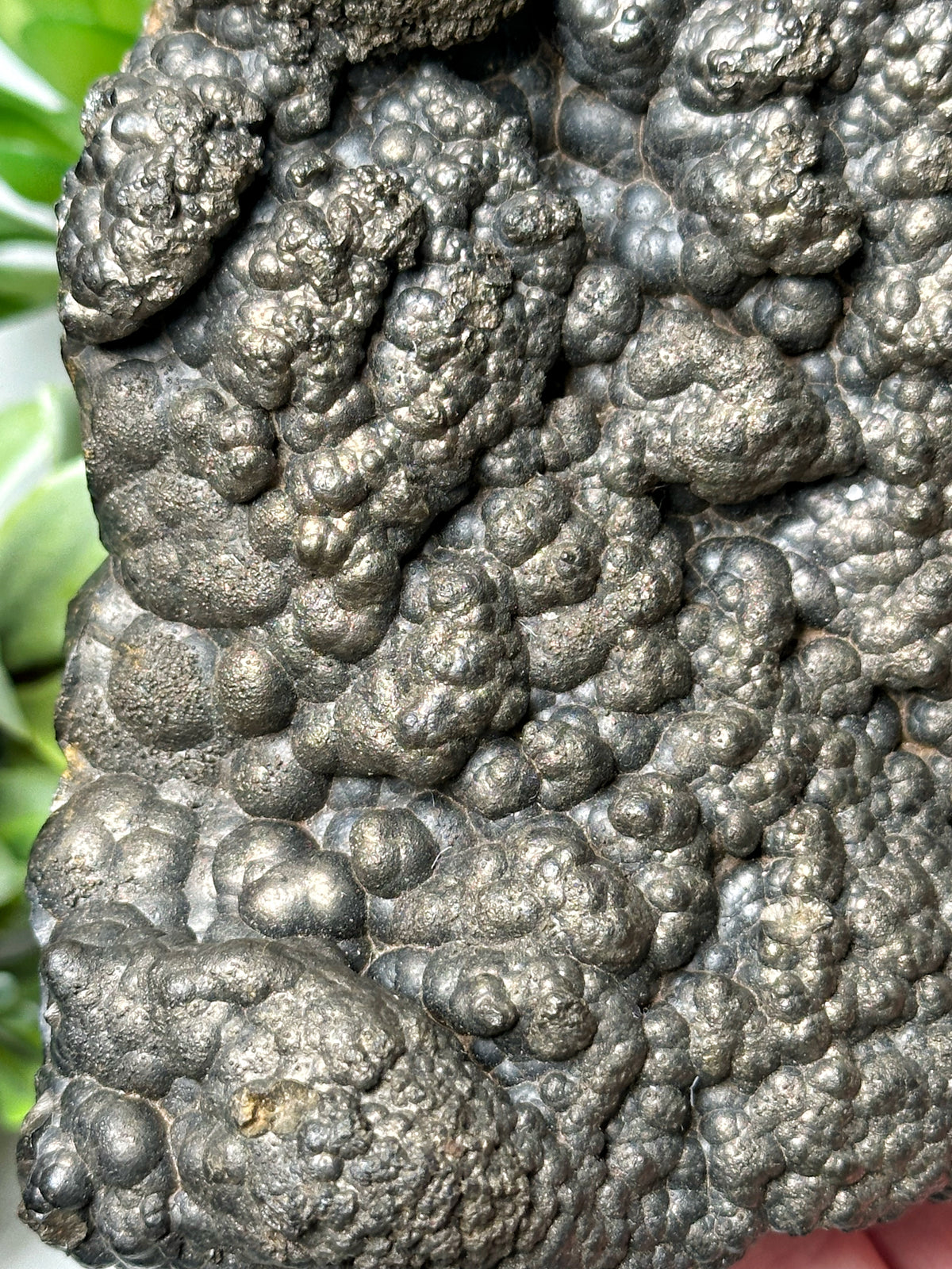 Golden Hematite - #8