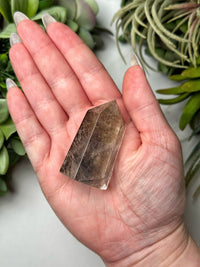 Dendritic Quartz Point - #9