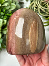 Petrified Wood Freeform - #12